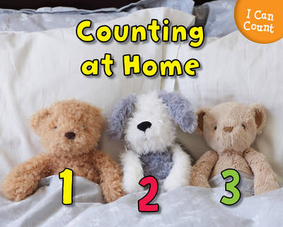 Counting at Home -  Rebecca Rissman