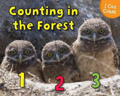 Counting in the Forest -  Rebecca Rissman