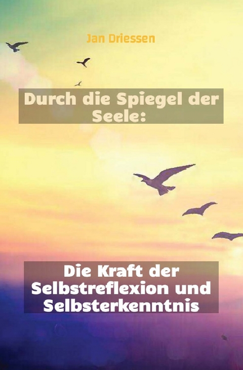 Lebensbalance finden: Ein ganzheitlicher Ansatz für persönliches Wohlbefinden / Durch die Spiegel der Seele: Die Kraft der Selbstreflexion und Selbsterkenntnis - Jan Driessen