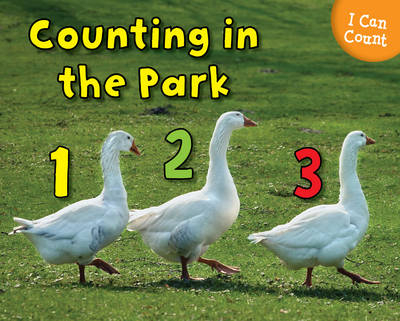 Counting at the Park -  Rebecca Rissman