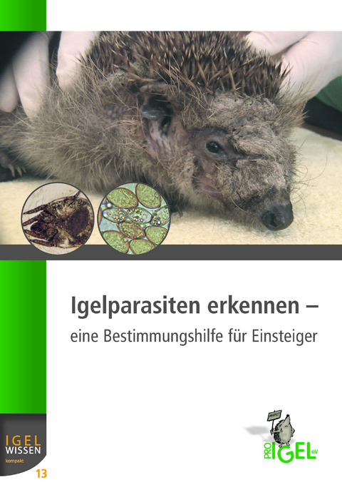 Igelparasiten erkennen - Dora Lambert