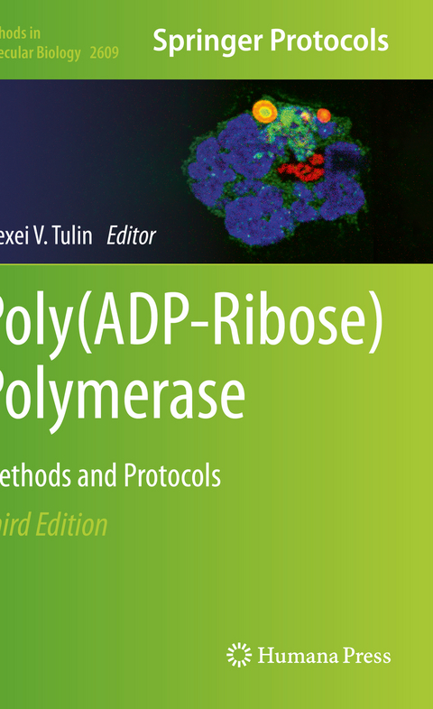 Poly(ADP-Ribose) Polymerase - 