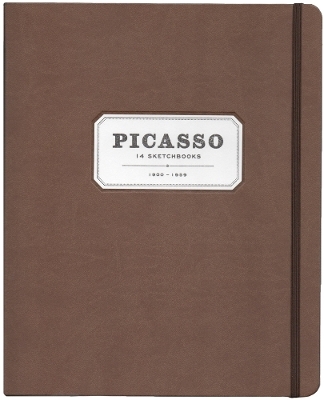 Picasso: 14 Sketchbooks - 