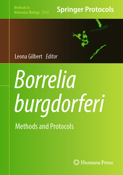 Borrelia burgdorferi - 