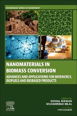 Nanomaterials in Biomass Conversion - 