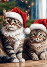 Katzen Notizbuch Weihnachten mit 55 Zitaten Motivierendes Notizheft Journal Tagebuch Katze Weihnachtsgeschenk Wichtelgeschenk unter 15 Euro Nikolaus Neujahr Silvester - Kenya Kooper