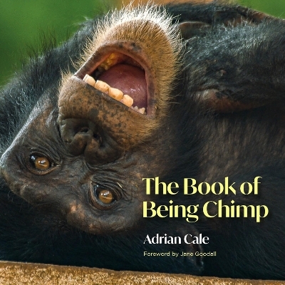 The Book of Being Chimp - Adrian Cale