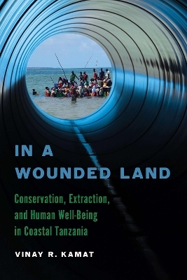 In a Wounded Land - Vinay R. Kamat