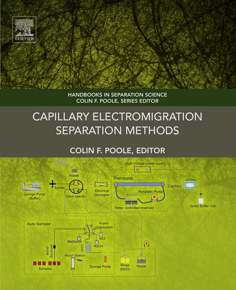 Capillary Electromigration Separation Methods - 