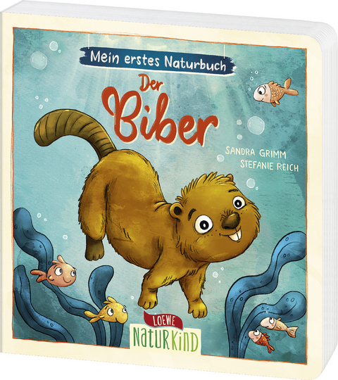 Mein erstes Naturbuch - Der Biber - Sandra Grimm