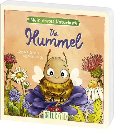 Mein erstes Naturbuch - Die Hummel - Sandra Grimm