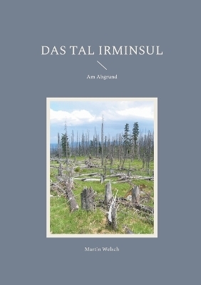 Das Tal Irminsul - Martin Welsch