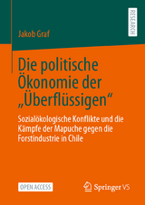 Die politische Ökonomie der „Überflüssigen“ - Jakob Graf