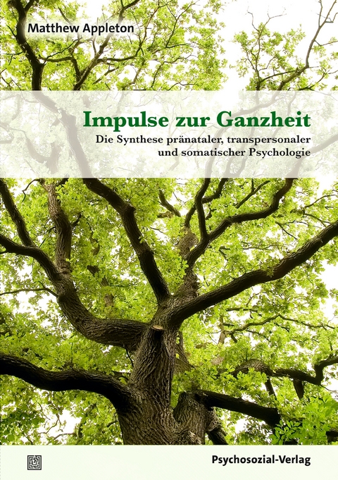 Impulse zur Ganzheit - Matthew Appleton