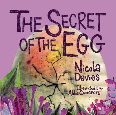 The Secret of the Egg - Nicola Davies