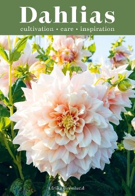 Dahlias - Ulrika Grönlund