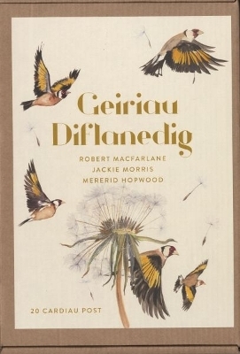 Geiriau Diflanedig (20 Cardiau Post) - Jackie Morris