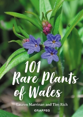 101 Rare Plants of Wales - Tim Rich, Lauren Marrinan