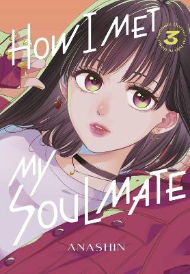 How I Met My Soulmate 3 -  Anashin