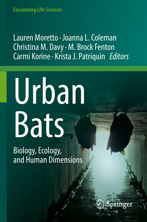 Urban Bats - 