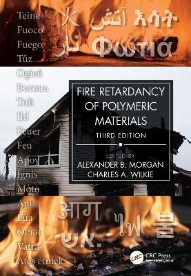 Fire Retardancy of Polymeric Materials - 