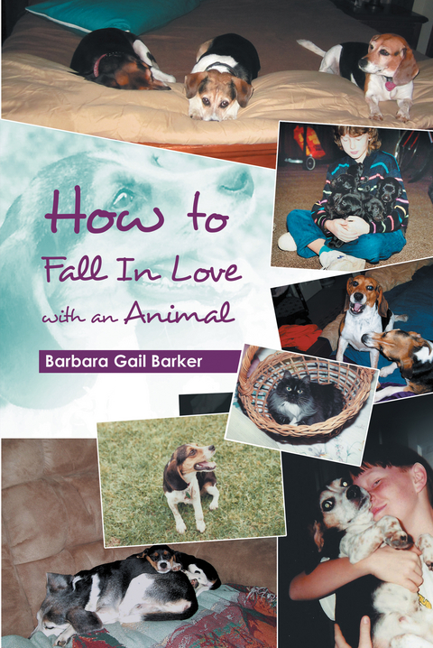 How to Fall in Love with an Animal - Barbara Gail Barker