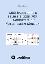 1200 Barrégriffe selbst bilden für Gitarristen, die Noten lesen können - Günter Beyer