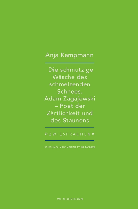 Die schmutzige Wäsche des schmelzenden Schnees - Anja Kampmann