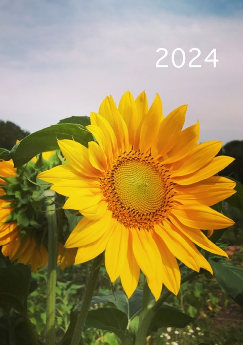 2024: Kalender &amp; Notizen - brids planer