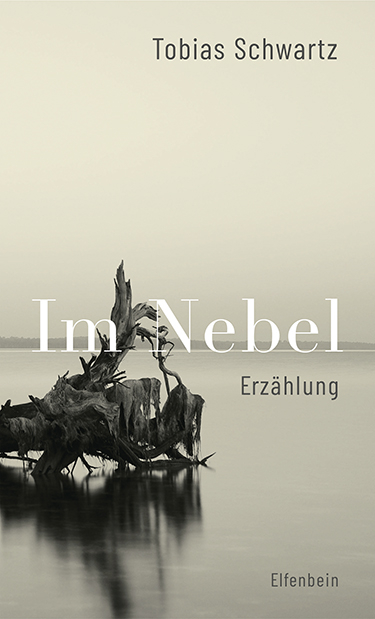 Im Nebel - Tobias Schwartz