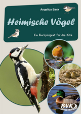 Heimische Vögel - - Angelica Back