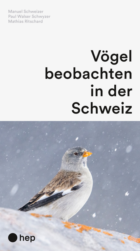 Vögel beobachten in der Schweiz (Neuauflage) - Manuel Schweizer, Paul Walser Schwyzer, Mathias Ritschard