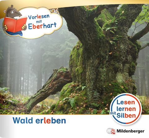 Vorlesen mit Eberhart – Wald erleben – Nachbezug Einzelheft - Nicole Brandau, Stefanie Drecktrah