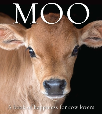 Moo - 