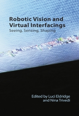 Robotic Vision and Virtual Interfacings - 