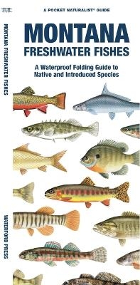 Montana Freshwater Fishes - Matthew Morris,  Waterford Press