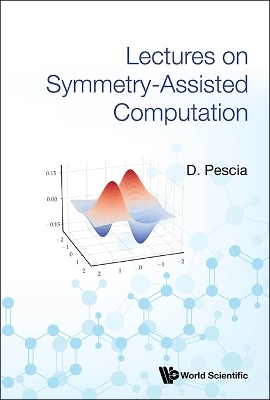 Lectures On Symmetry-assisted Computation - Danilo Pescia