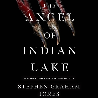 The Angel of Indian Lake - Stephen Graham Jones