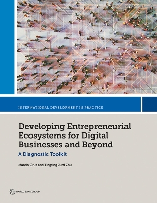 Developing Entrepreneurial Ecosystems for Digital Businesses and Beyond - Marcio Cruz, Tingting Juni Zhu