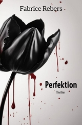 Perfektion - Fabrice Rebers