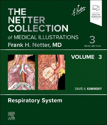 The Netter Collection of Medical Illustrations: Respiratory System, Volume 3 - 