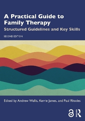 A Practical Guide to Family Therapy - 