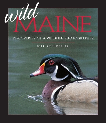 Wild Maine - Bill Silliker