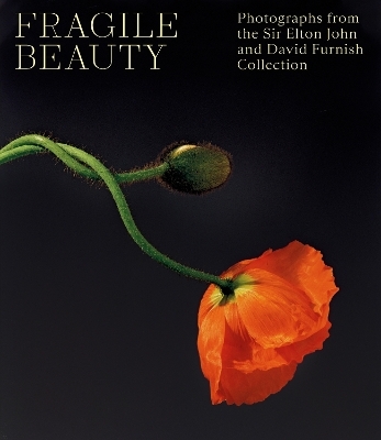 Fragile Beauty - 