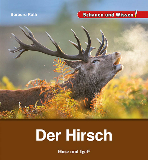 Der Hirsch - Barbara Rath