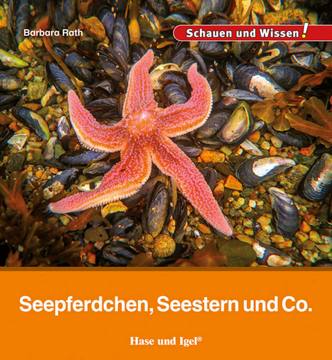 Seepferdchen, Seestern und Co. - Barbara Rath