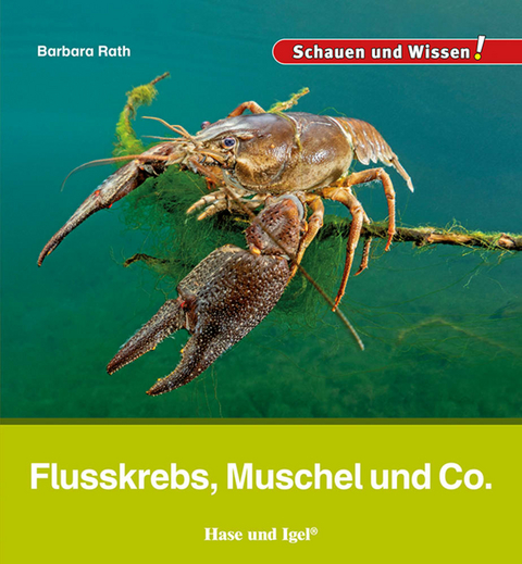 Flusskrebs, Muschel und Co. - Barbara Rath