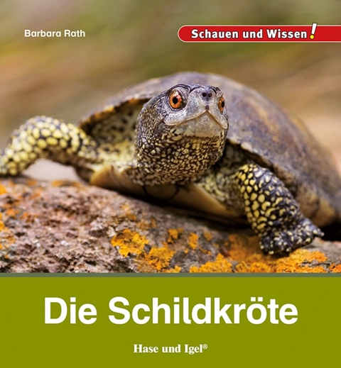 Die Schildkröte - Barbara Rath