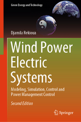 Wind Power Electric Systems - Rekioua, Djamila