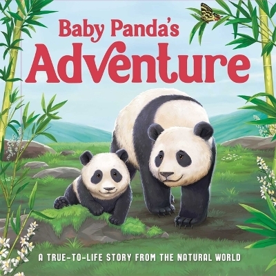 Baby Panda's Adventure -  Igloobooks, Rose Harkness